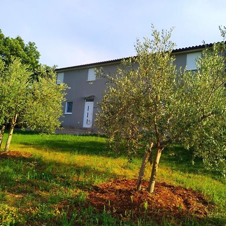Apartments Valeria Divšići Eksteriør billede