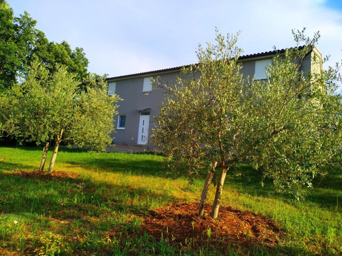 Apartments Valeria Divšići Eksteriør billede